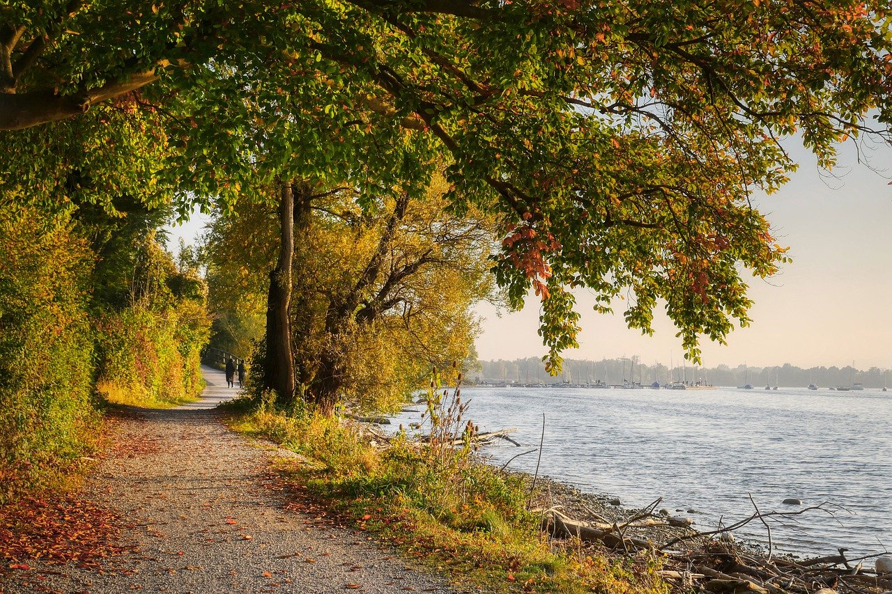 path, riverbank, lake-6704773.jpg